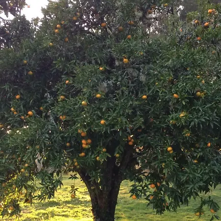 Villa Casa Dos Cavalos Sertã