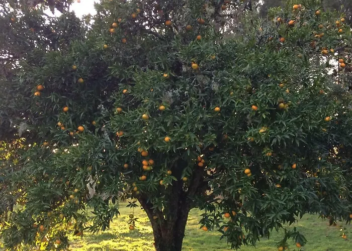 Vila Casa Dos Cavalos Sertã