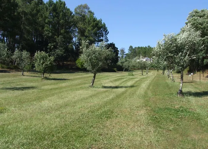 Vila Casa Dos Cavalos Sertã